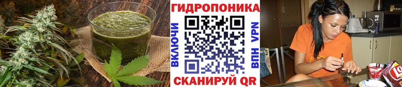 Cannafood конопля  Купить  Горно-Алтайск 