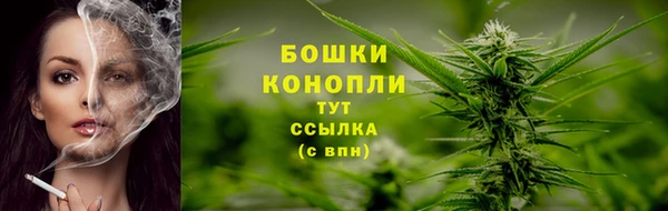 прущий лед Дмитриев