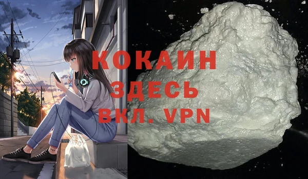 прущий лед Дмитриев