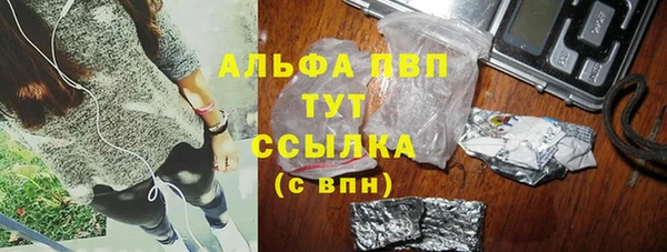 прущий лед Дмитриев