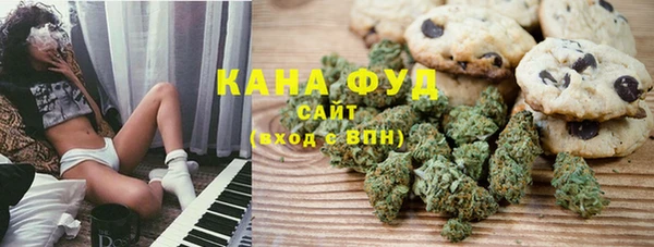 прущий лед Дмитриев