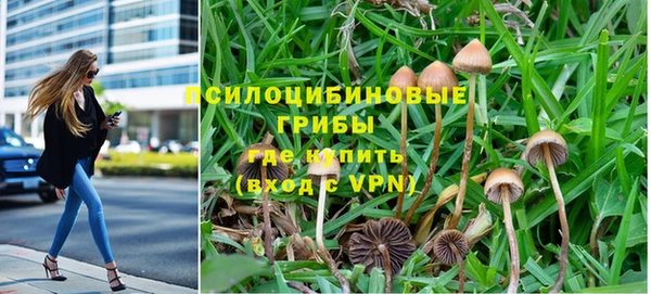 мдма Дмитров