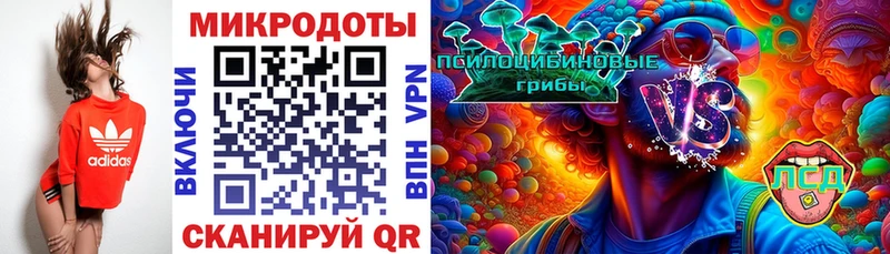 Купить  Горно-Алтайск  Галлюциногенные грибы MAGIC MUSHROOMS 